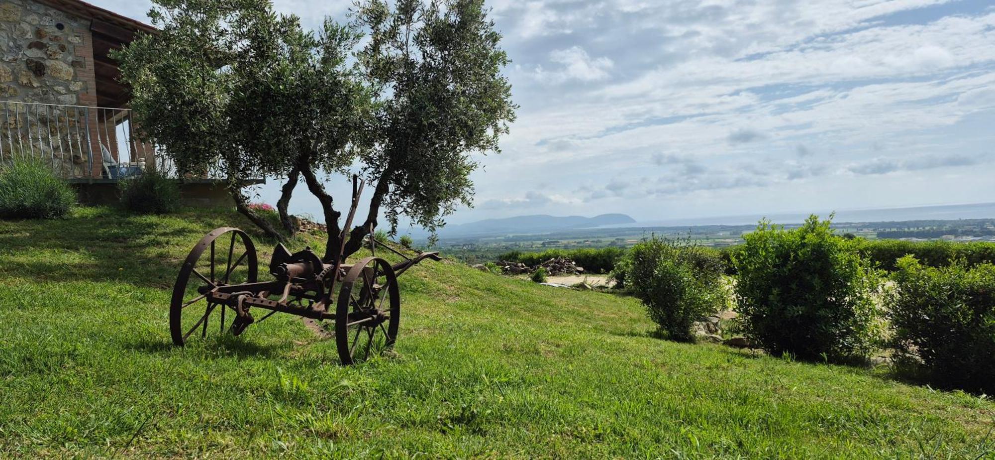 Agriturismo Suite Del Conte Сан-Вінченцо Екстер'єр фото